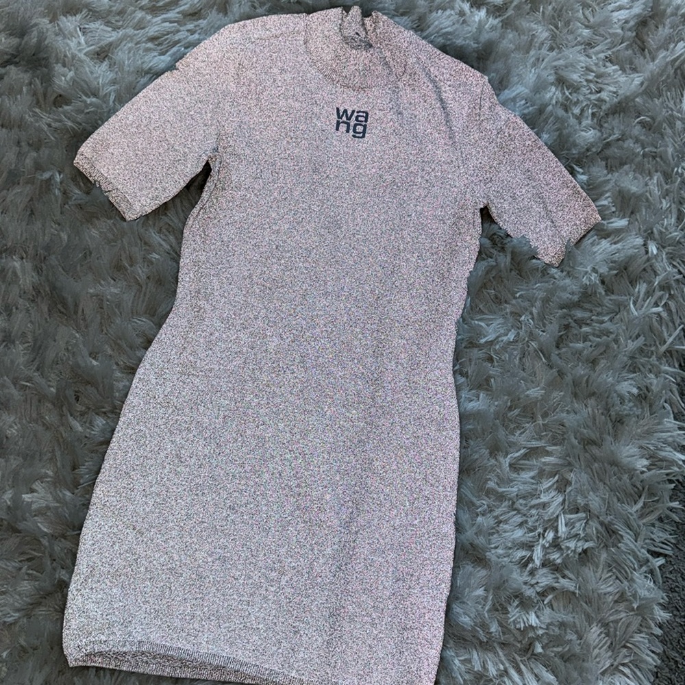 Alexander wang dress